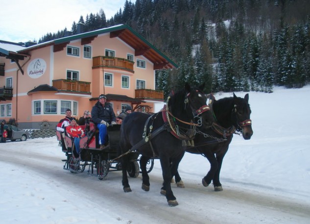 Pferdeschlittenfahrten vom Wechslerhof in Flachau